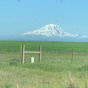 Meet your Posher, Stefani